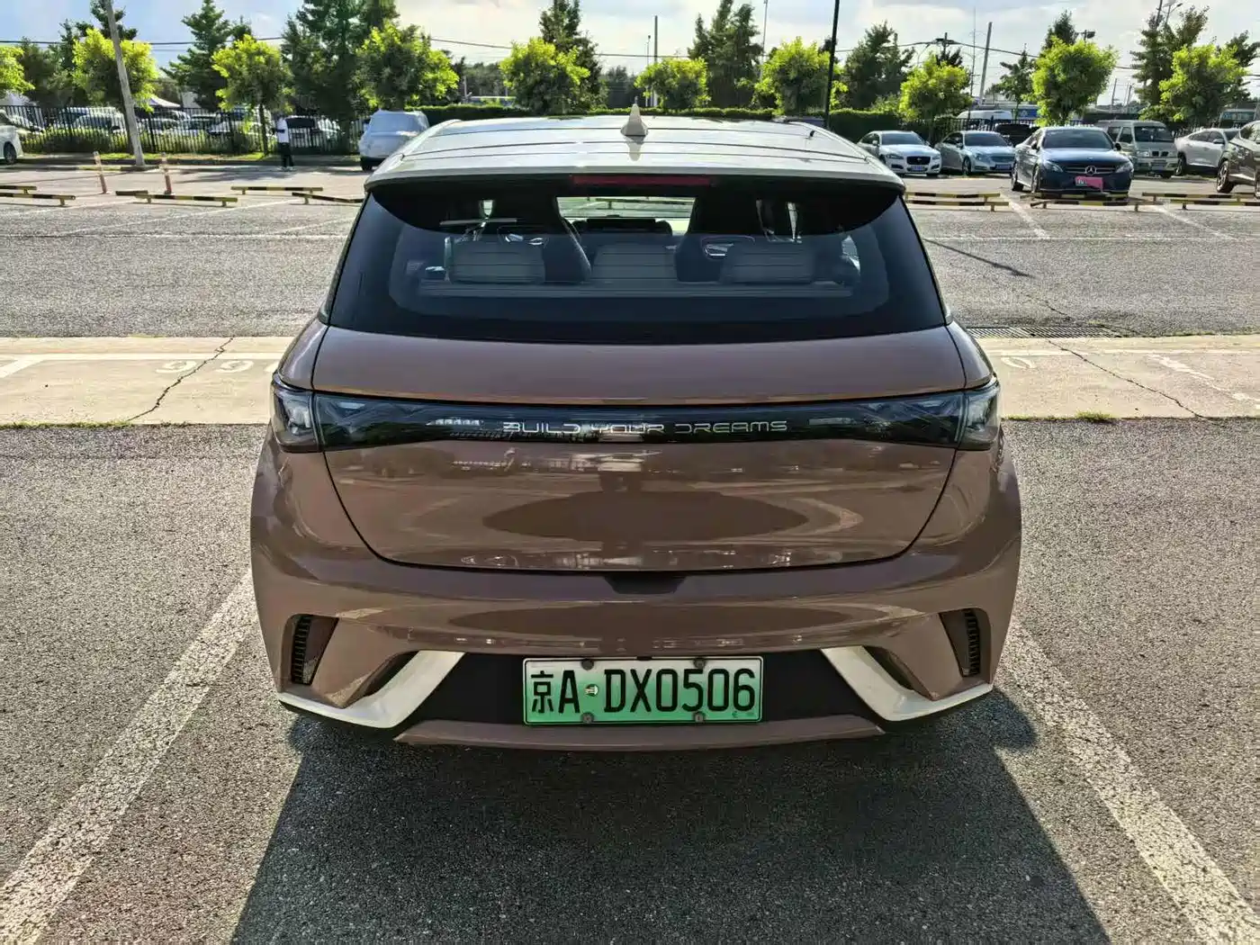 BYD Dolphin 2021 2021 Model 405km Fashion Edition