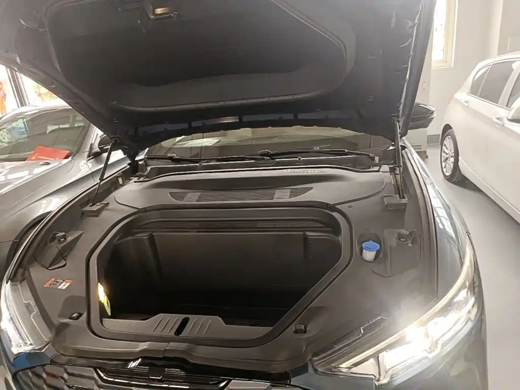 Ford Mustang Mach-E 2022 2021 Boundless RWD Luxury (Long Range)
