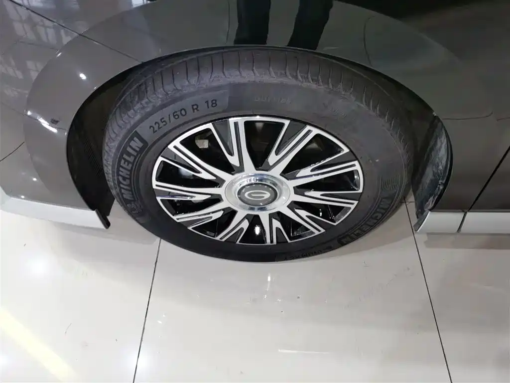 GAC Trumpchi Trumpchi E9 2023 E9 Champion Edition фото 23