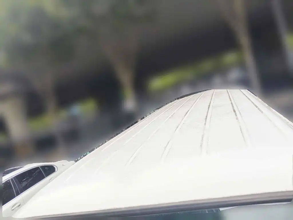 Foton View 2013 2012 Model 2.0L Express Classic Short Wheelbase 491EQ4A