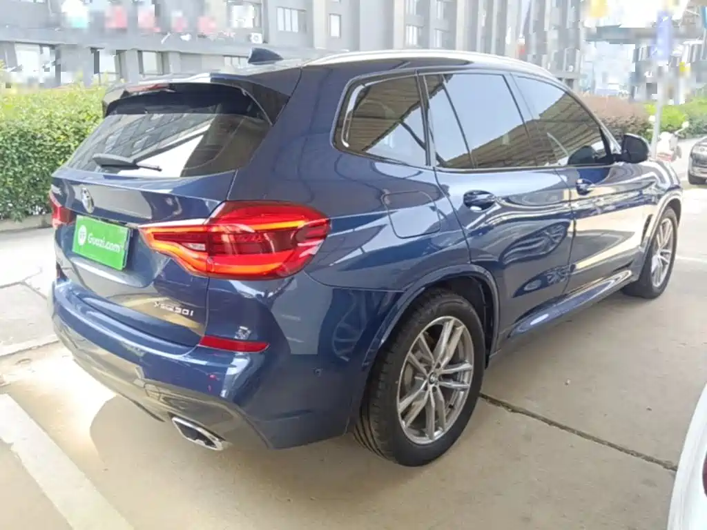 BMW X3 2018 2018 xDrive30i Leading M Sport Package China V