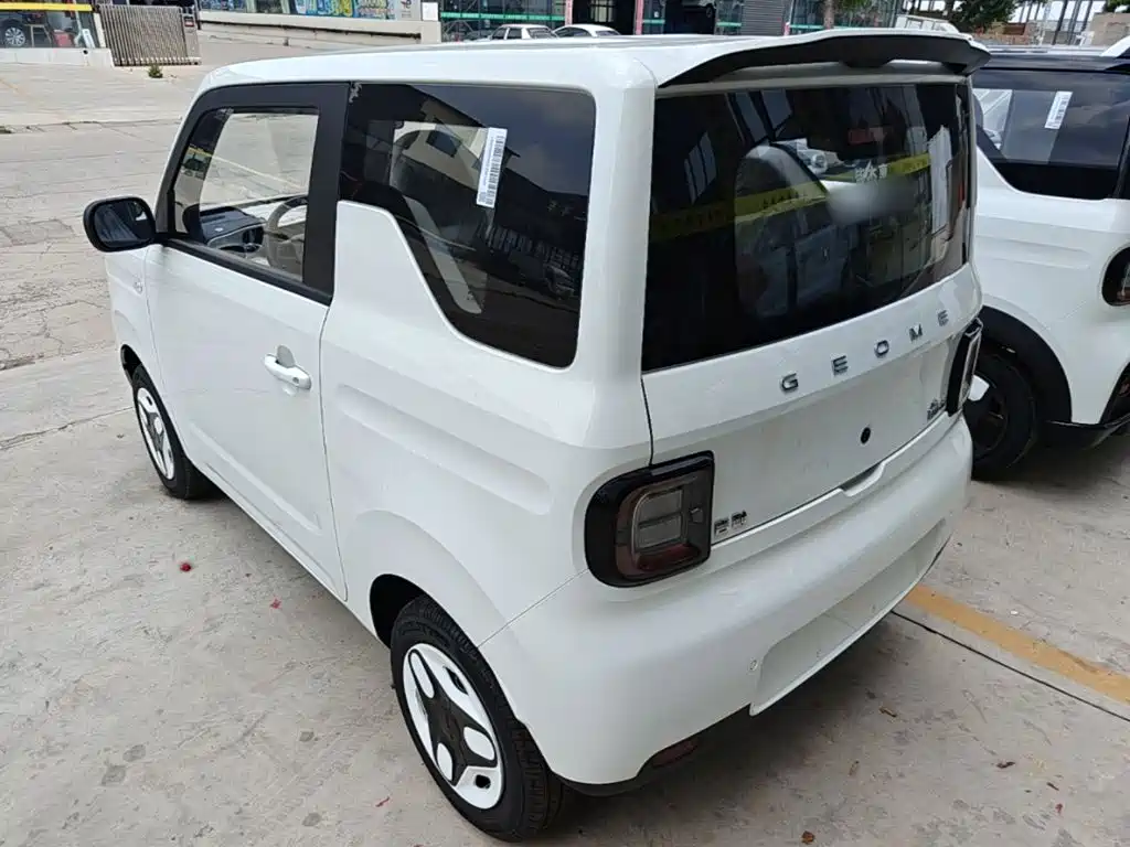 Geely Galaxy Panda 2026 2025 Panda mini 210km Vitality Bear