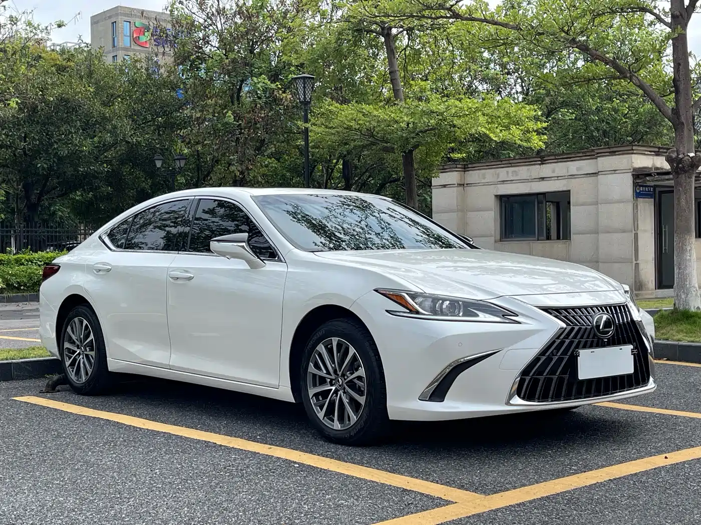 Lexus ES 2023 200 Excellence Edition фото 3