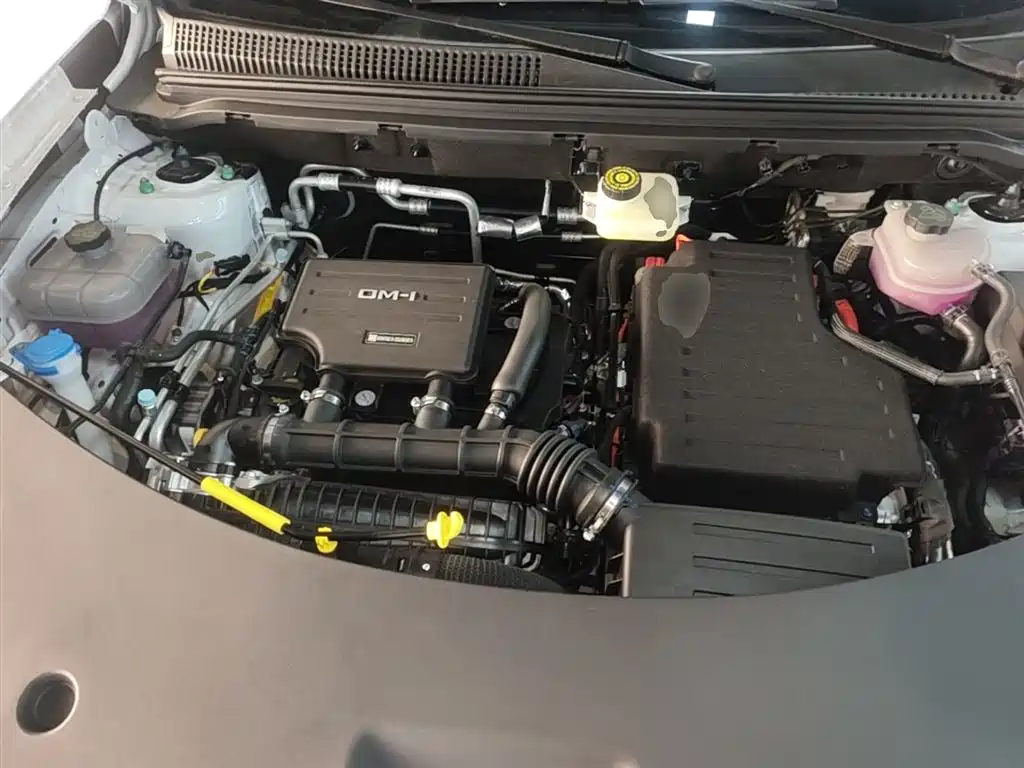 BYD SONGJIANG NEW ENERGY