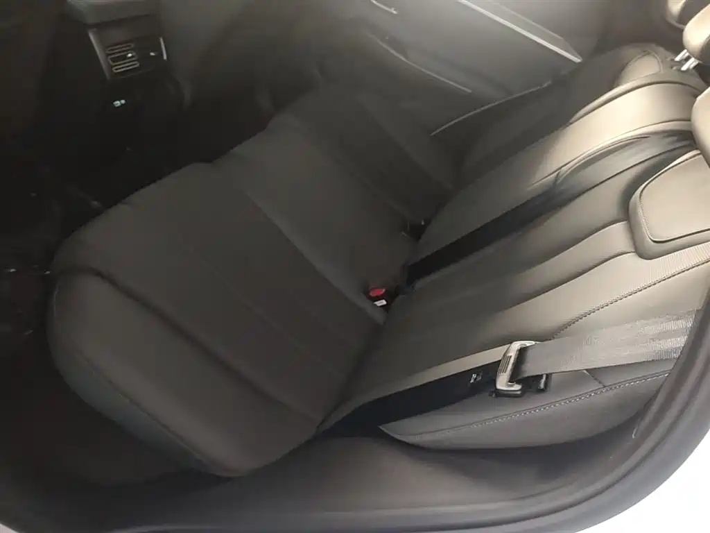 BYD SONGJIANG NEW ENERGY