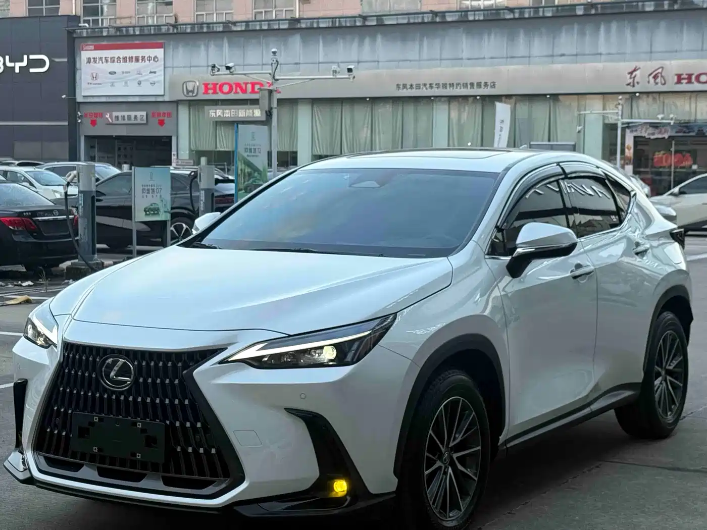Lexus NX 2024 2023 350h FWD Joy Creation Edition