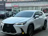 Фото 3 - Lexus NX