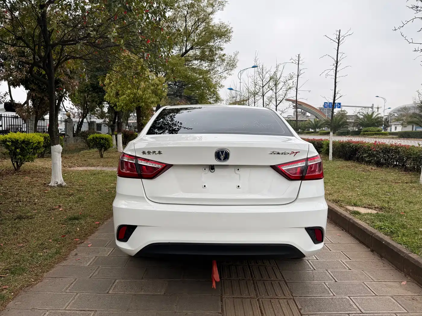 CHANGAN YIDONG DT