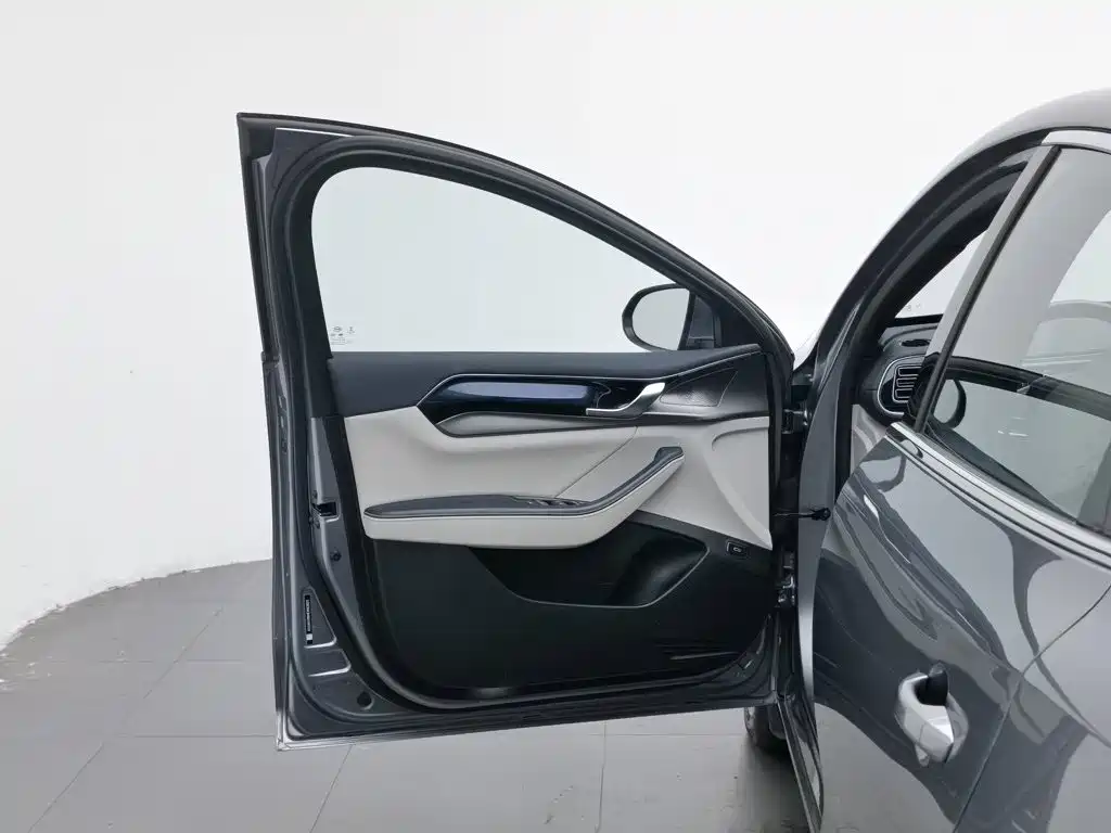 BYD Qin PLUS 2021 2021 EV 400KM Luxury Model