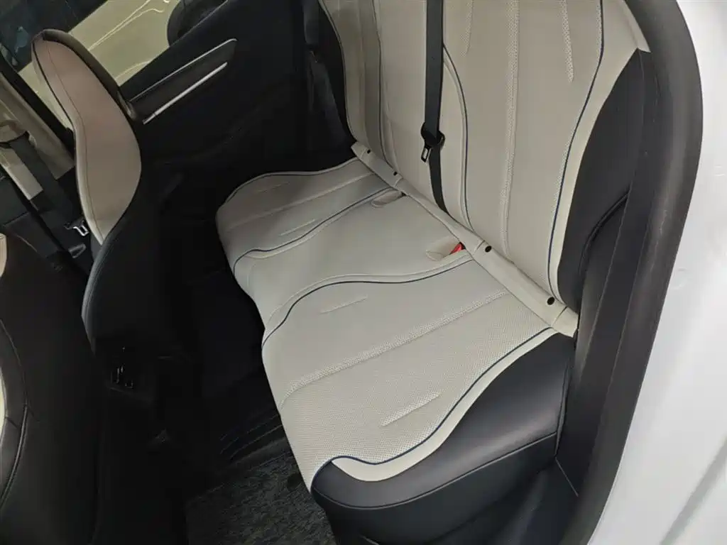 BYD Destroyer 05 2024 Glory Edition DM-i 55KM Luxury фото 17