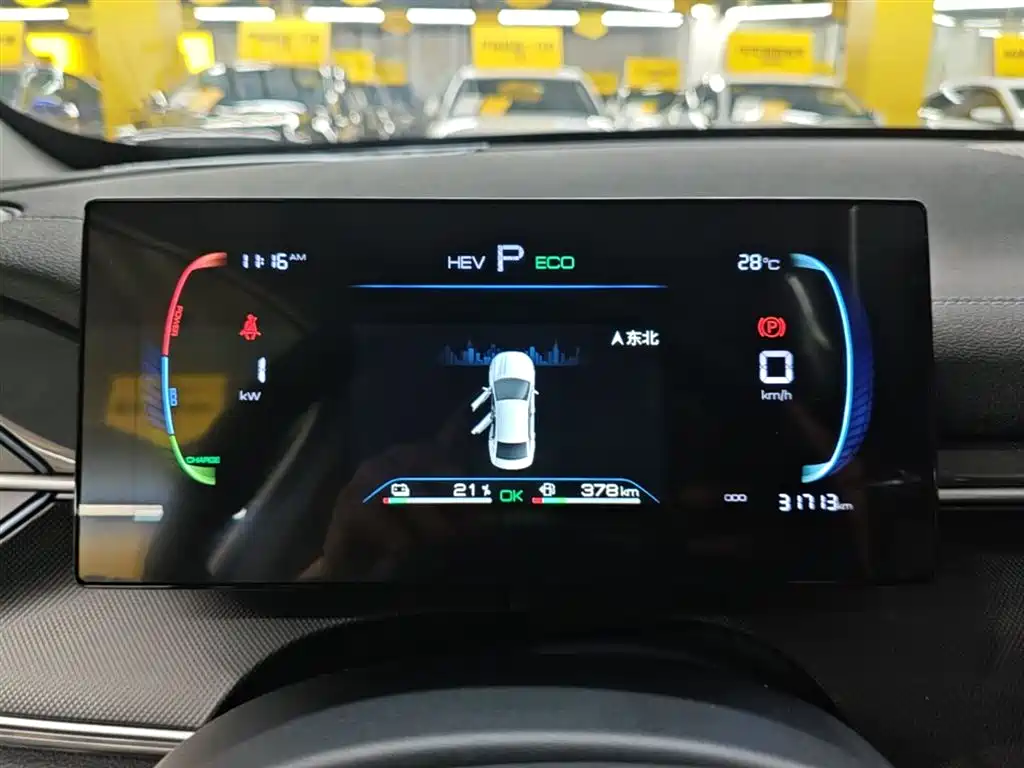 BYD Destroyer 05 2024 Glory Edition DM-i 55KM Luxury фото 12