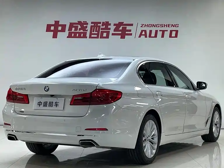 BMW 5 Series 2020 530Li xDrive Luxury Package фото 8