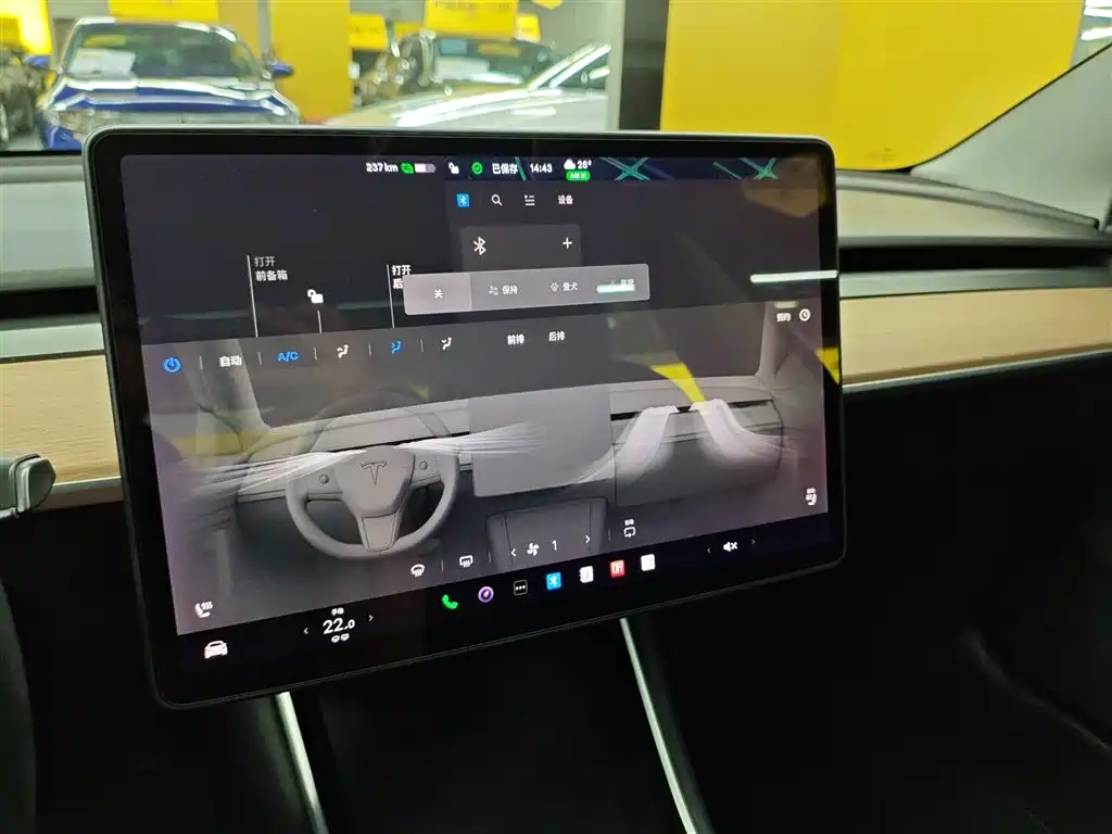 TESLA MODEL 3 (IMPORTED)