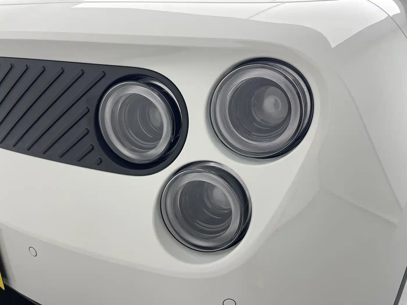 Firefly Firefly 2025 2025 Luminescent Edition