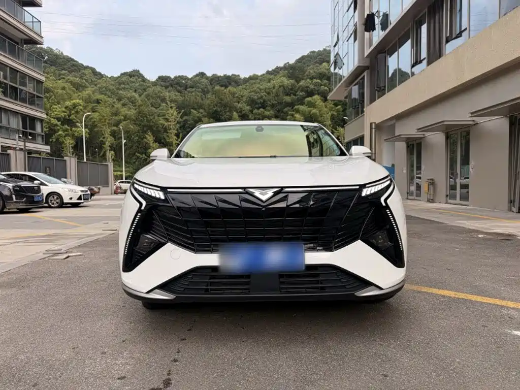 Cowin Kunlun 2025 2025 1.5T Plateau Edition 5-seater