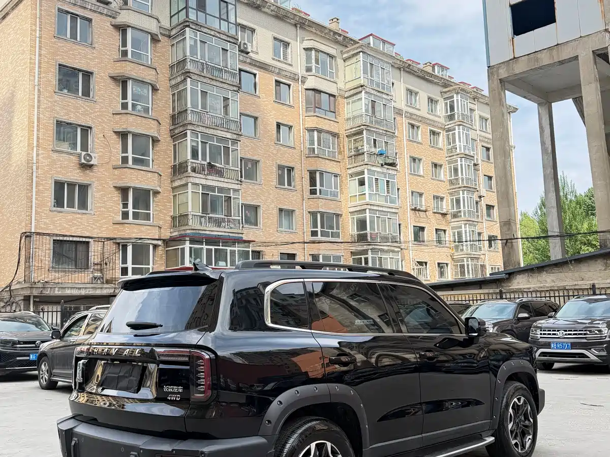 Haval Big Dog 2022 2.0T DCT 4WD Chinese Rural Dog Hunting Edition фото 9