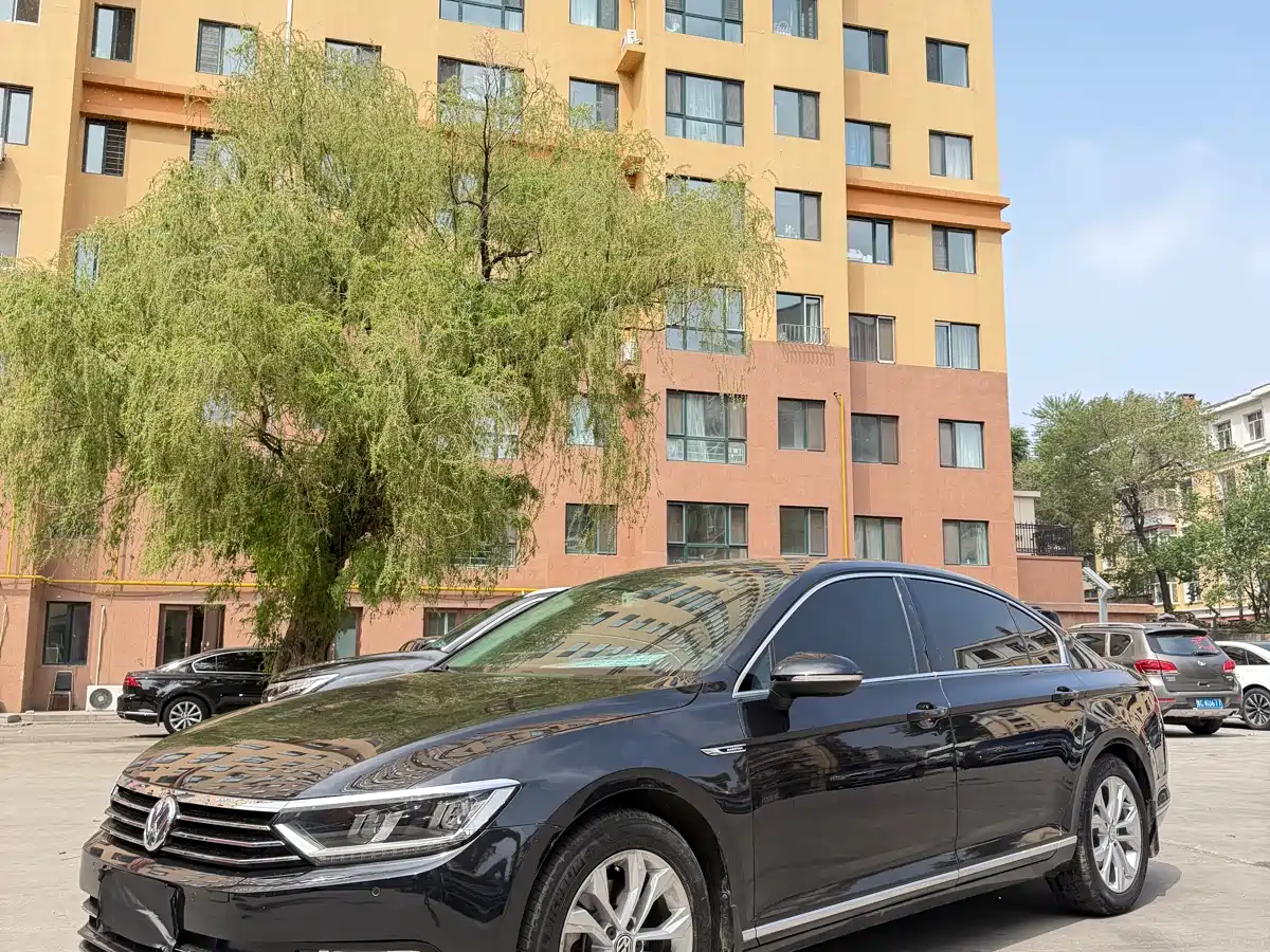 Volkswagen Magotan 2019 330TSI DSG Luxury Class China VI