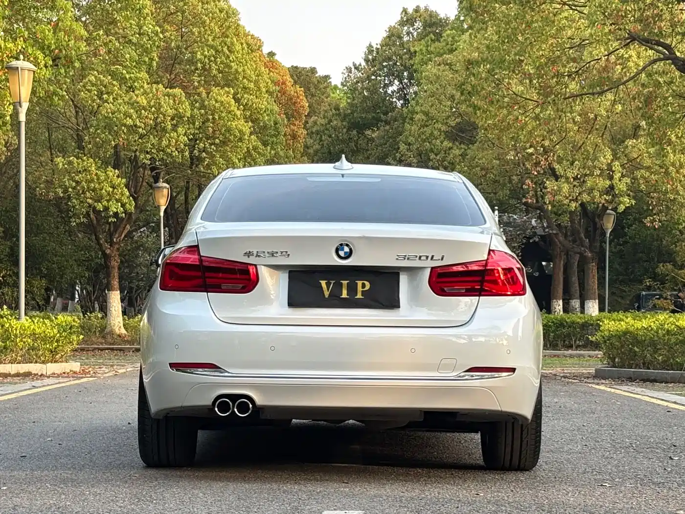 BMW 3 Series 2017 320Li Fashion фото 5