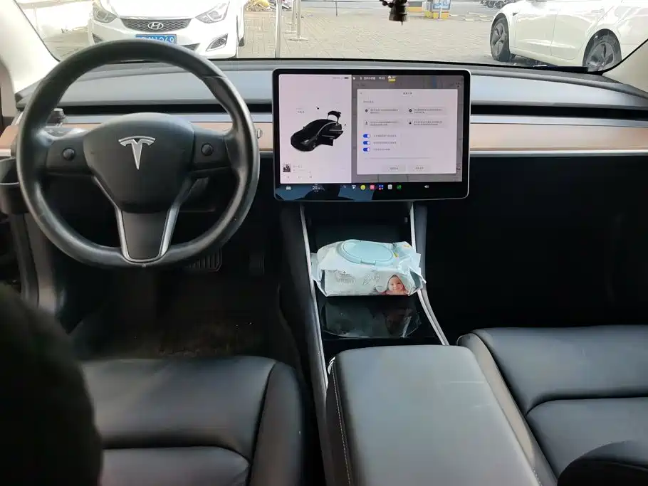 Tesla Model 3 (Import) 2019 2019 Long Range RWD Version
