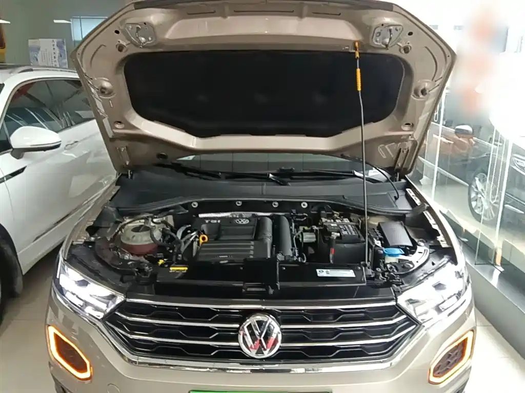 Volkswagen T-ROC 2020 230TSI DSG 2WD Progressive фото 20