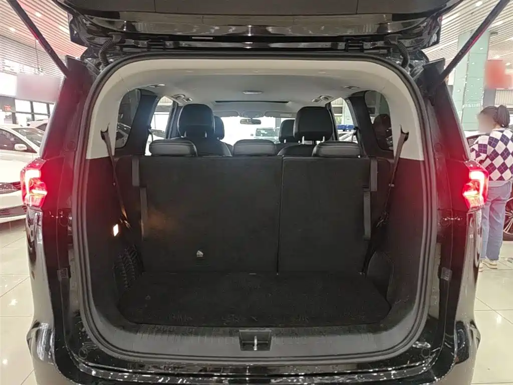 SAIC Maxus Maxus G50 2020 1.5T Auto Elite фото 19