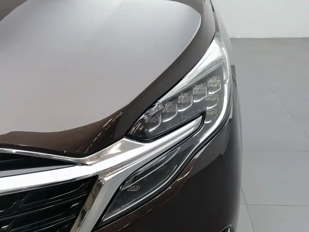 Buick GL8, миниатюра 7