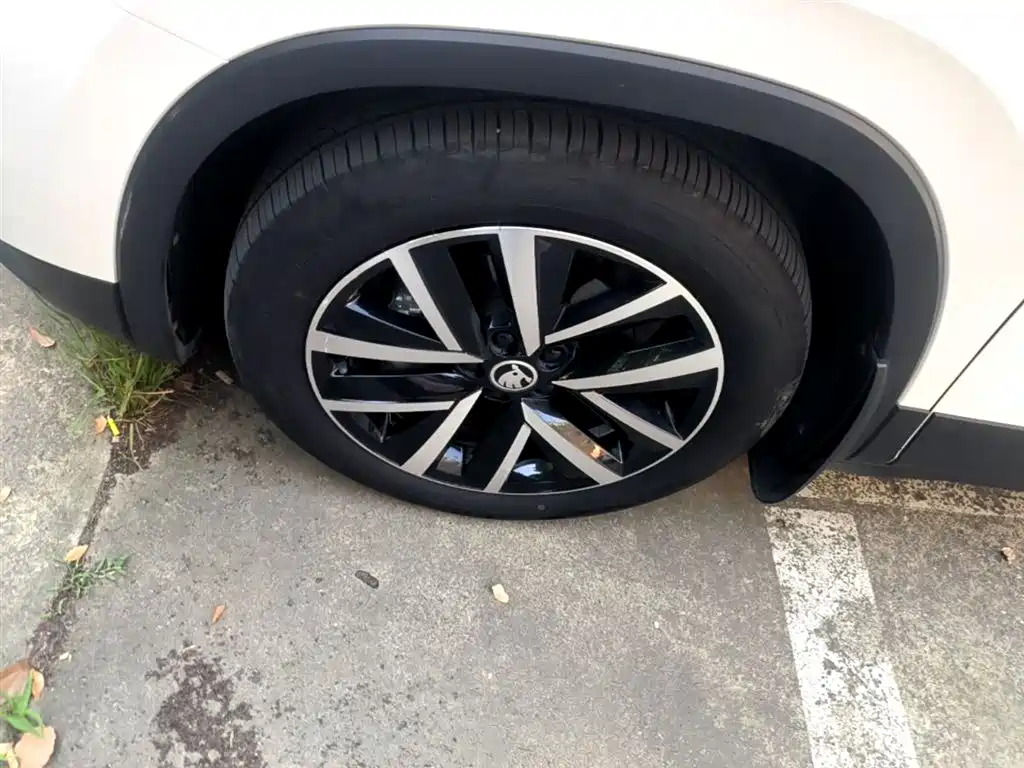 Škoda Kamiq 2018 1.5L Automatic Comfort Version China V фото 23