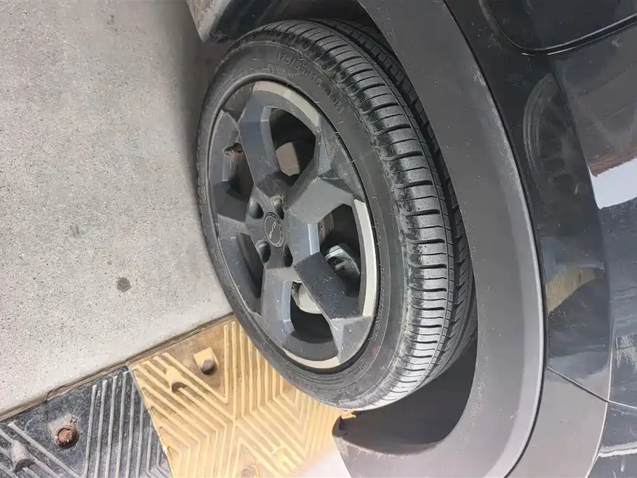 BYD Seagull 2024 Glory Edition 305km Freedom Edition фото 6