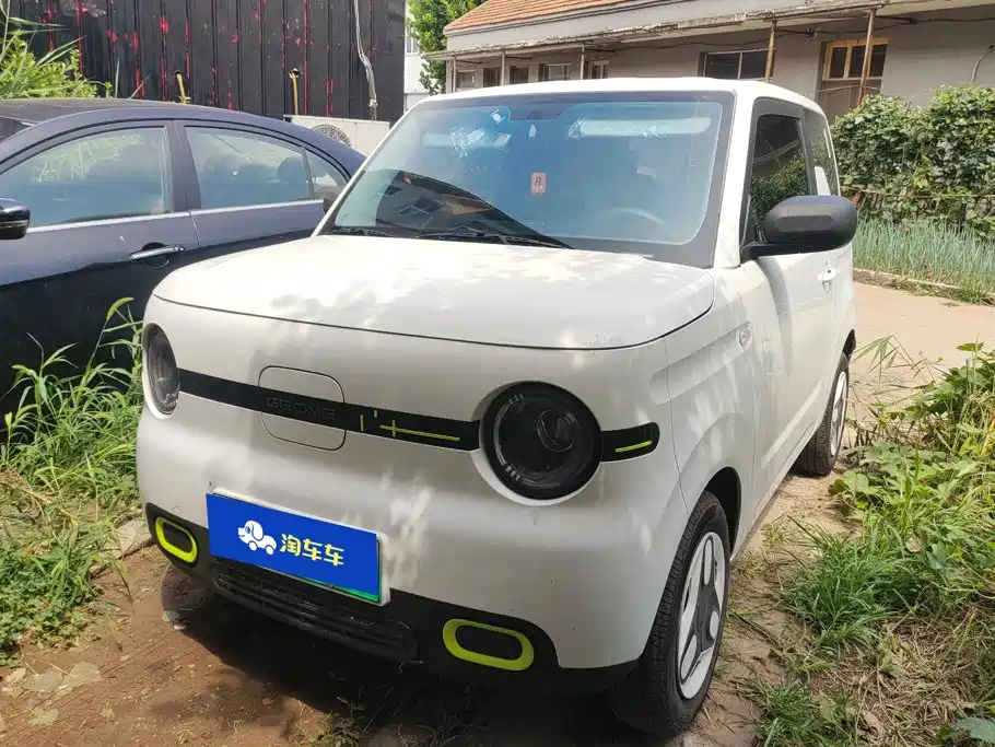 Geely Galaxy Panda 2025 Panda mini 210km Vitality Bear