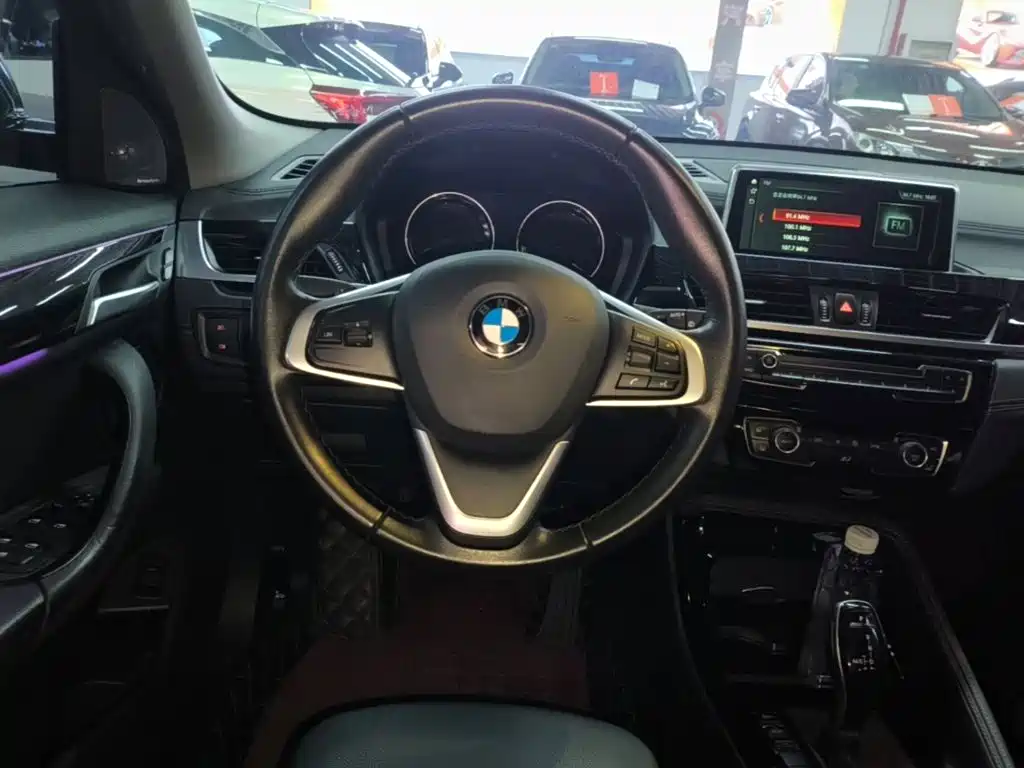 BMW X2 (Import) 2019 2018 sDrive25i Leading M Off-road Package China V