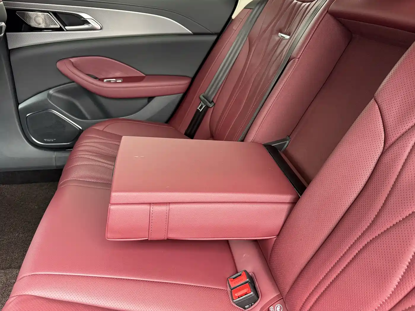 Hongqi H5 2024 2.0T Automatic Smart Connect Flag Leader Edition фото 25