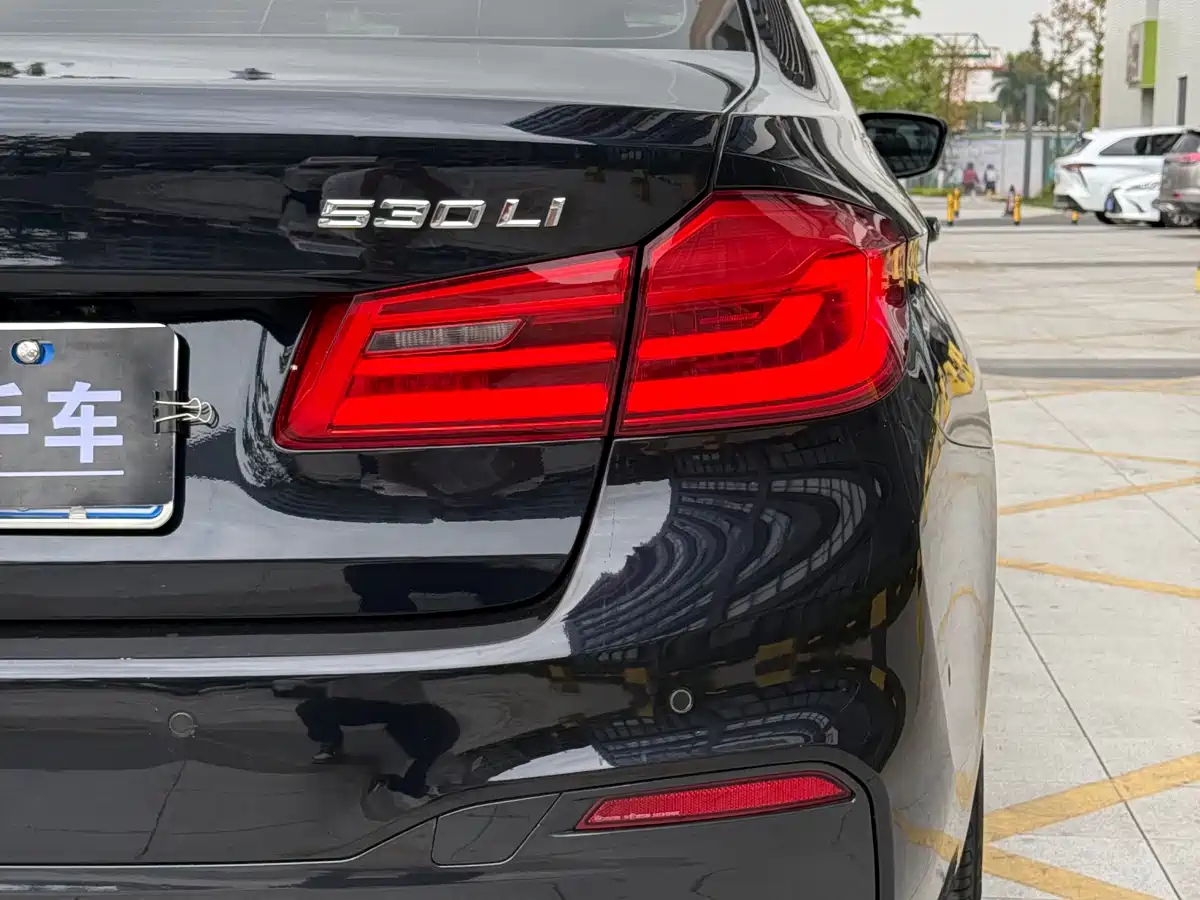 BMW 5 Series 2018 530Li Leading M Sport Package фото 12