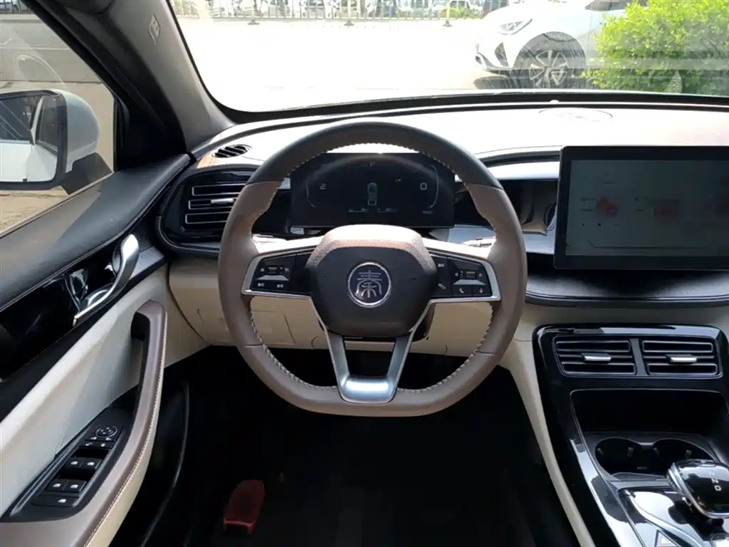 BYD Qin PLUS 2024 Glory Edition DM-i 55KM Leading фото 11