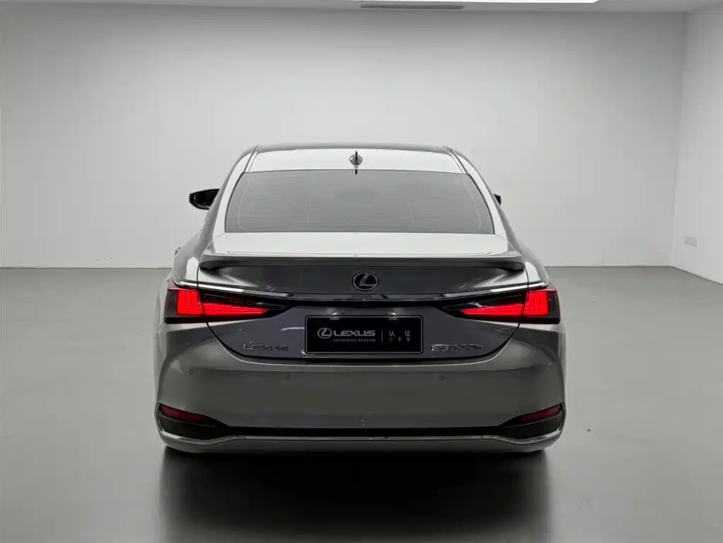 Lexus ES 2020 Model 300h Executive Edition China V фото 19