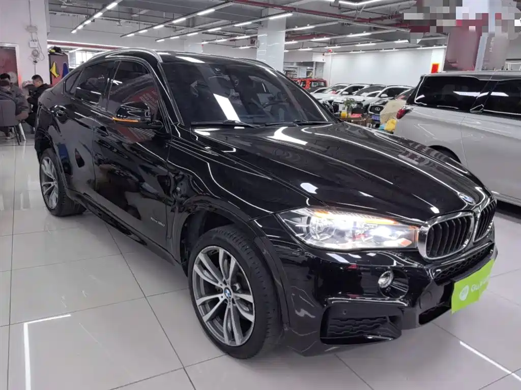 BMW X6 2018 xDrive35i M Sport Luxury Model фото 23