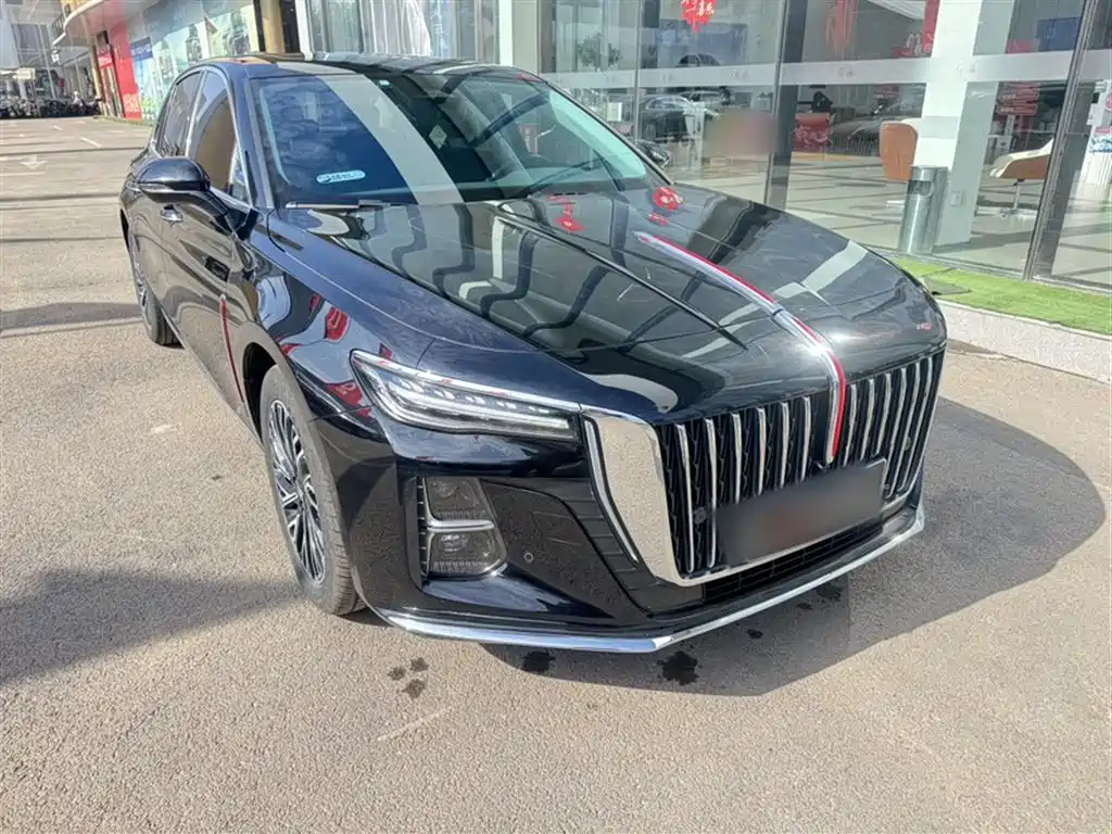 Hongqi H5 2024 2.0T Automatic Smart Connect Flag Smooth Edition фото 6