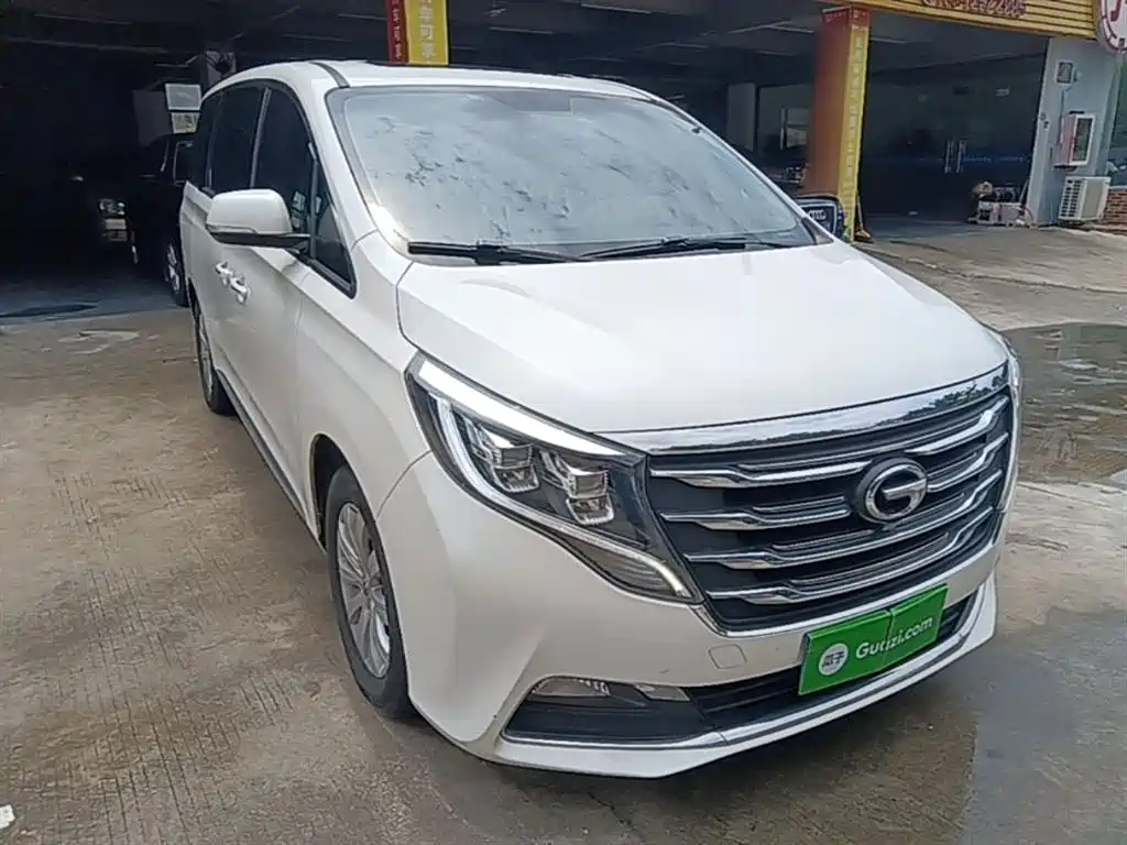 GAC Trumpchi Trumpchi M8 2020 390T Premium фото 4
