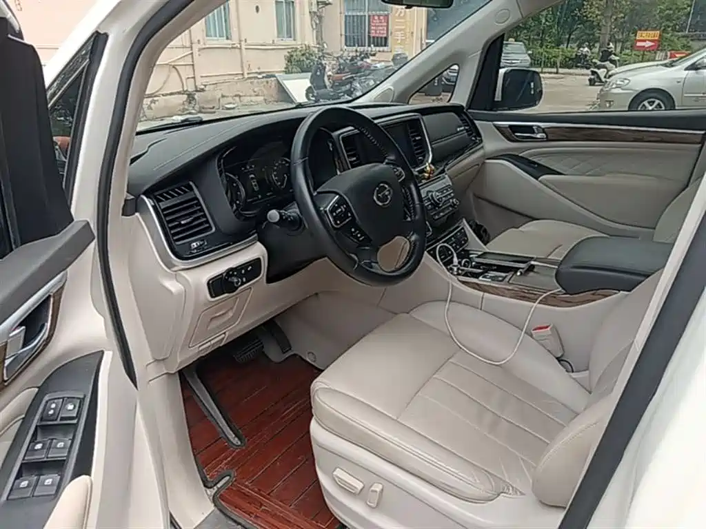 GAC Trumpchi Trumpchi M8 2020 390T Premium фото 16