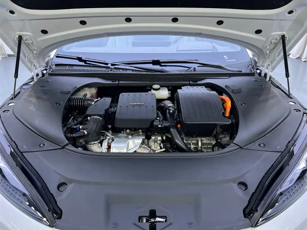 BYD Seal 2023 DM-i 1.5T 121km Flagship фото 29