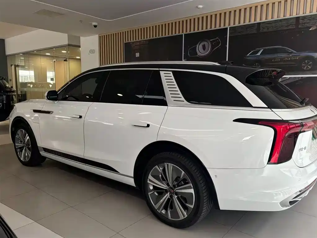 Фото 3 - Hongqi E-HS9