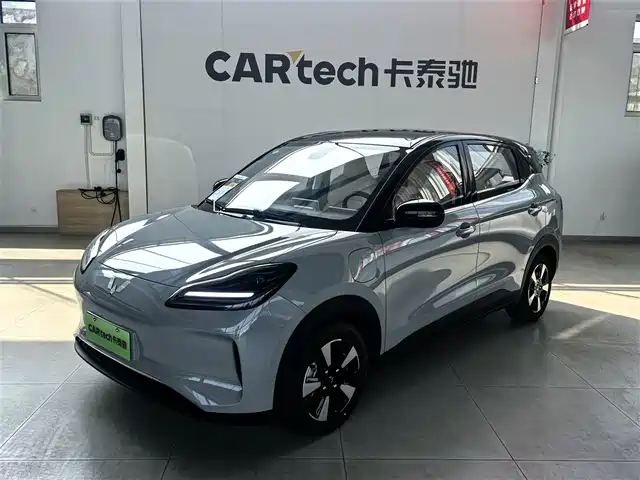Wuling Motors Wuling Binguo PLUS 2024 401km Range 5-seater