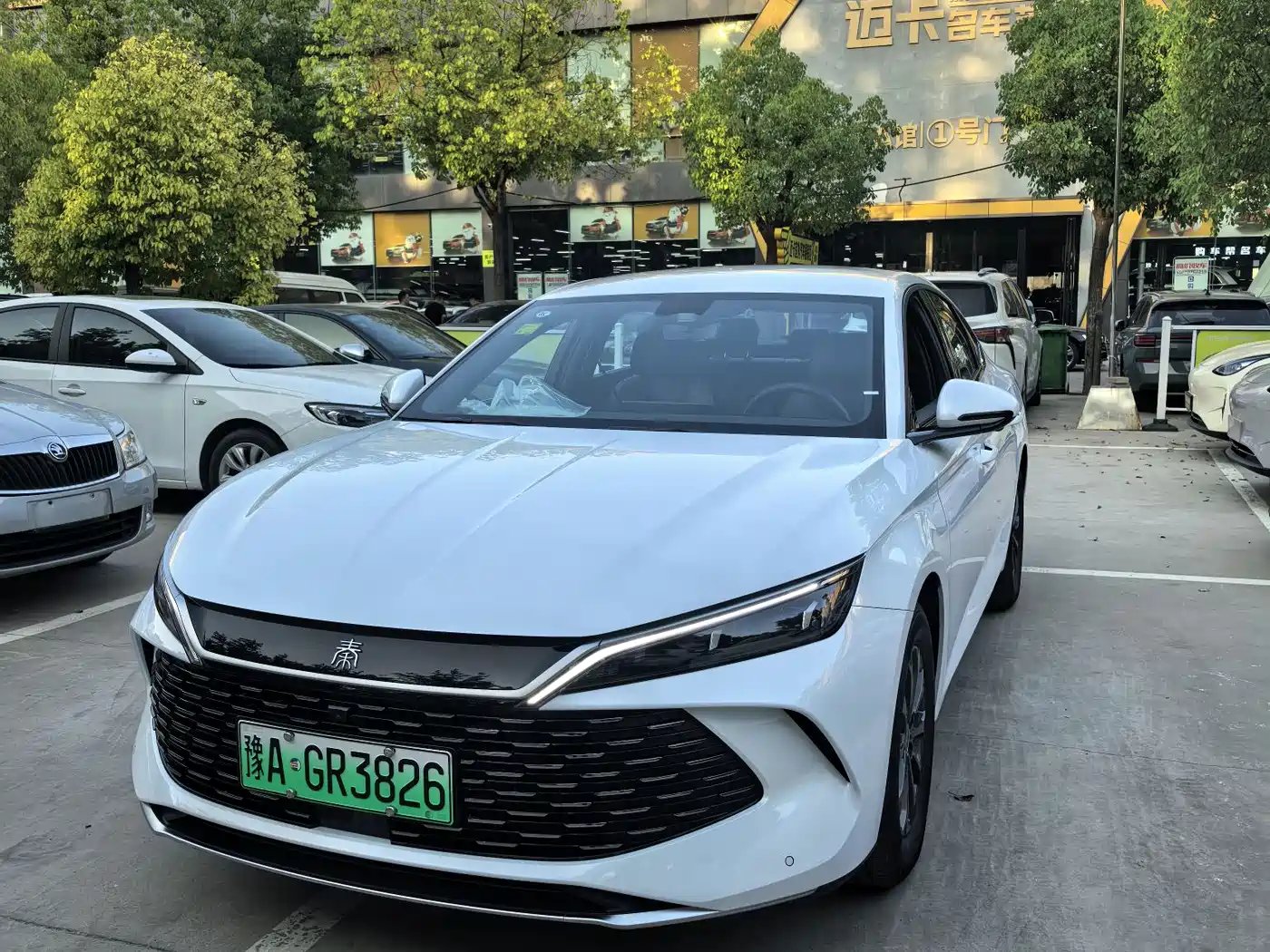 BYD Qin L 2026 2026 DM-i 128KM Progressive