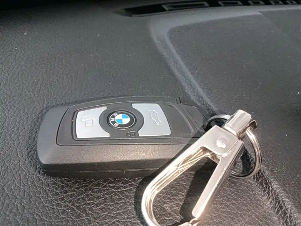BMW 3 Series 2019 320Li Fashion Type фото 9