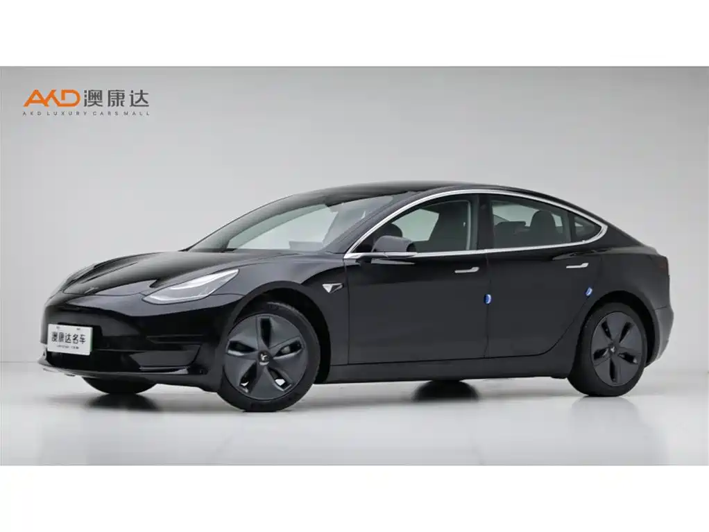 Tesla Model 3 2020 2020 Standard Range Rear-Wheel Drive Upgrade
