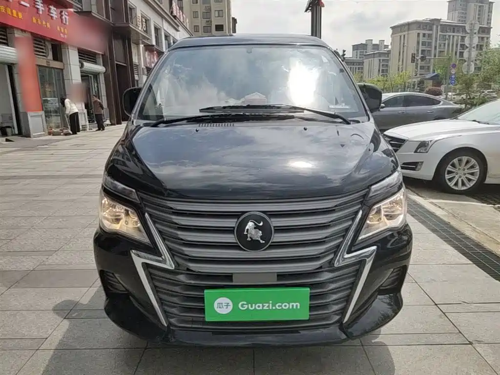 DONGFENG POPULAR LINGZHI