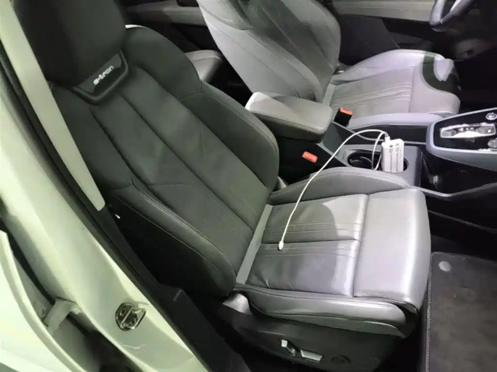 Audi Q5 e-tron 2022 40 e-tron Starlight Edition Brocade Package фото 25