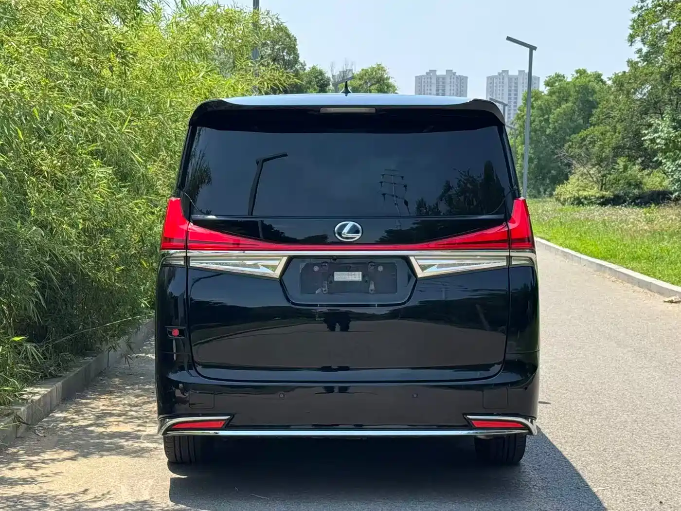 Lexus LM 2020 300h Seven-Seater Elegance Edition фото 16