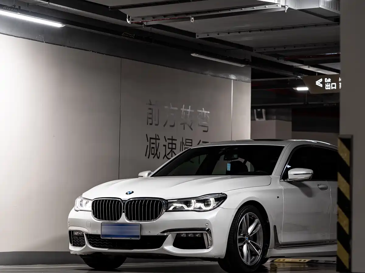 BMW 7 Series 2018 730Li Leading Type M Sport Package фото 3