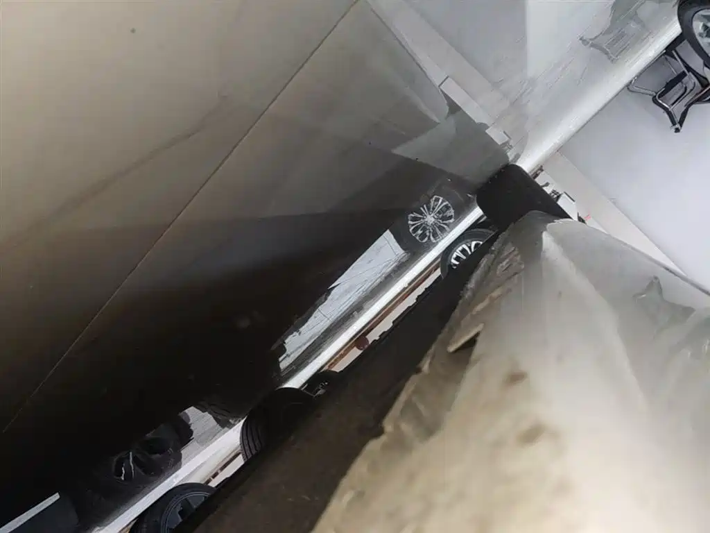 Hongqi H5 2023 2.0T Auto Smart Connect Flag Enjoy фото 21