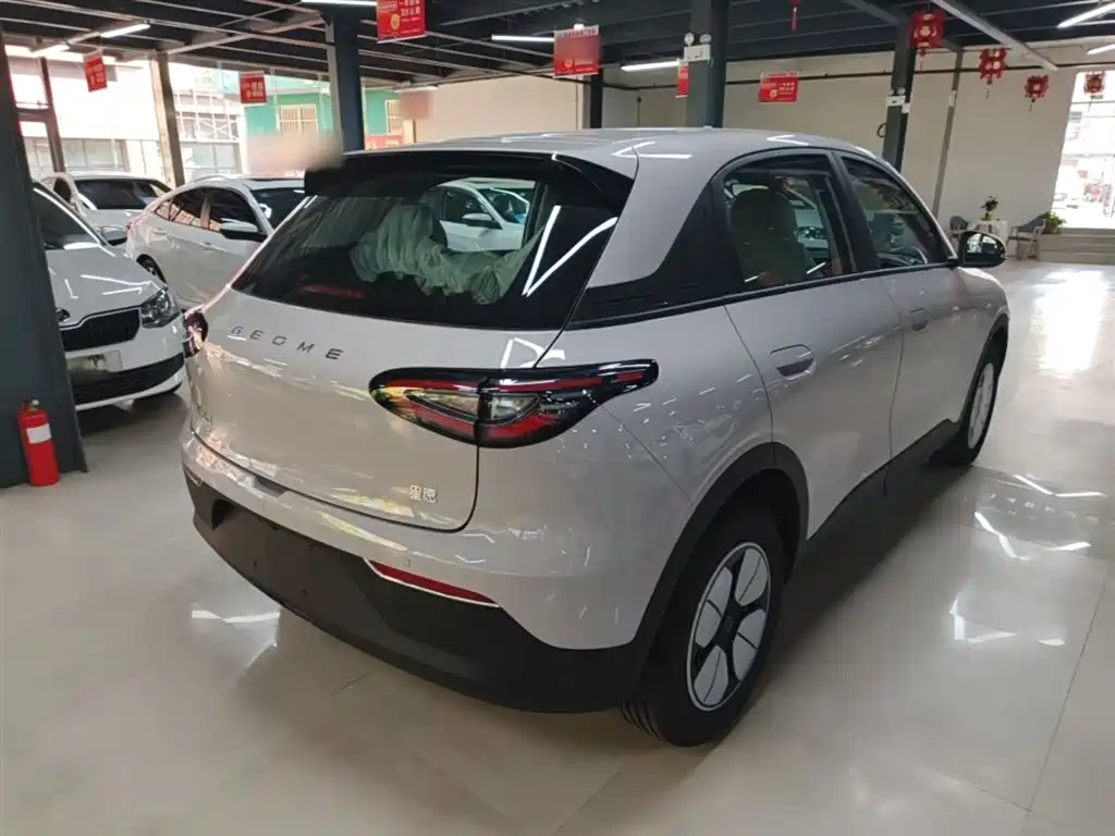Geely Galaxy Starry Wish 2026 Edition 310km Youth Version фото 7